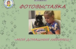 Фотовыставка