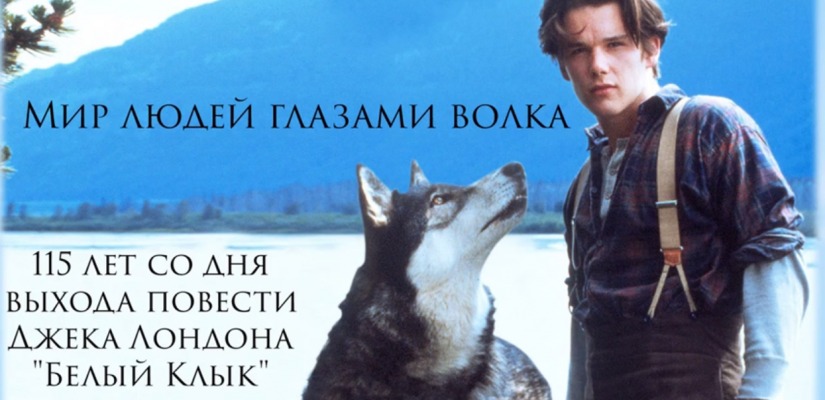 Главная библиотека Хакасии подготовила видеообзор «Мир людей глазами волка», посвященный 115-летию со дня выхода повести «Белый Клык»