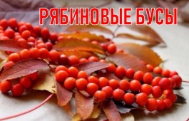 Национальный центр народного творчества имени С.П. Кадышева приглашает людей благородного возраста на вечер отдыха