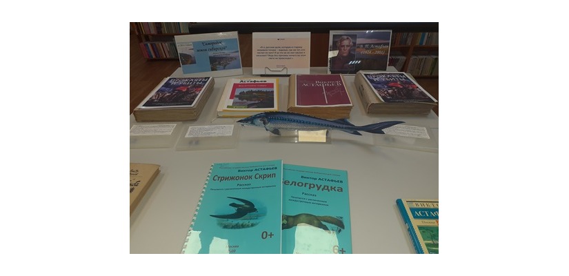 Презентация книжной выставки «Самородок земли сибирской»