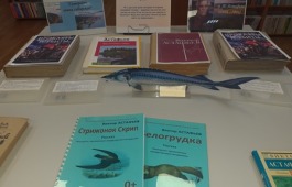 Презентация книжной выставки «Самородок земли сибирской»