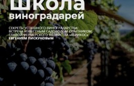 Секреты успешного виноградарства