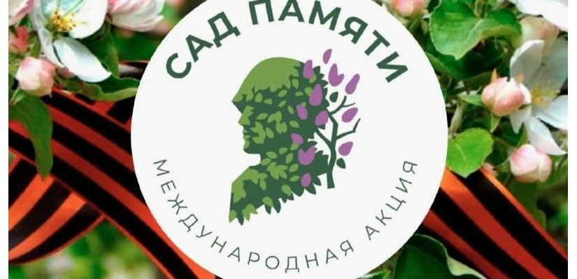 В год 80-летия Победы 27 миллионов деревьев высадят участники акции  «Сад памяти» в честь погибших советских граждан в годы войны
