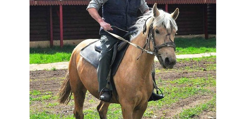 Гостем Праздника хакасской книги станет татарский писатель и тюрколог Рафаэль Безертинов