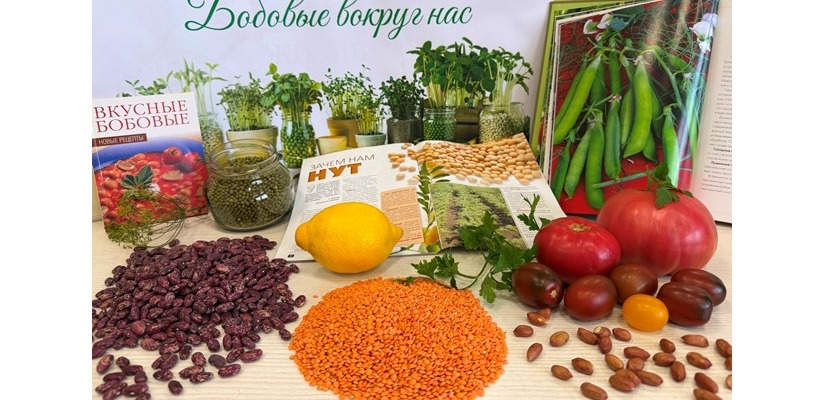Главная библиотека Хакасии приглашает на самое вкусное событие осени