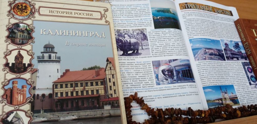 От легенд до современных маршрутов: детская библиотека знакомит с Калининградской областью в новом выпуске «Читалки»
