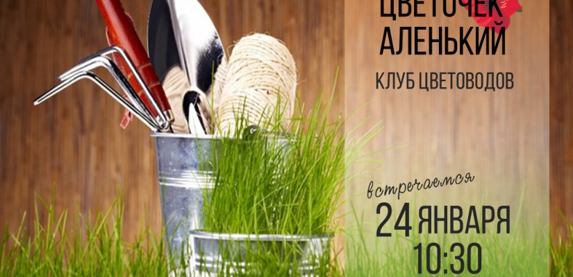 Клуб «Цветочек аленький» Национальной библиотеки приглашает на встречу с агрономом Маргаритой Коротченко