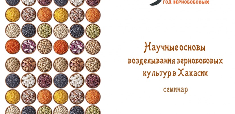 В Национальной библиотеке пройдет семинар, посвященный научным основам возделывания зернобобовых