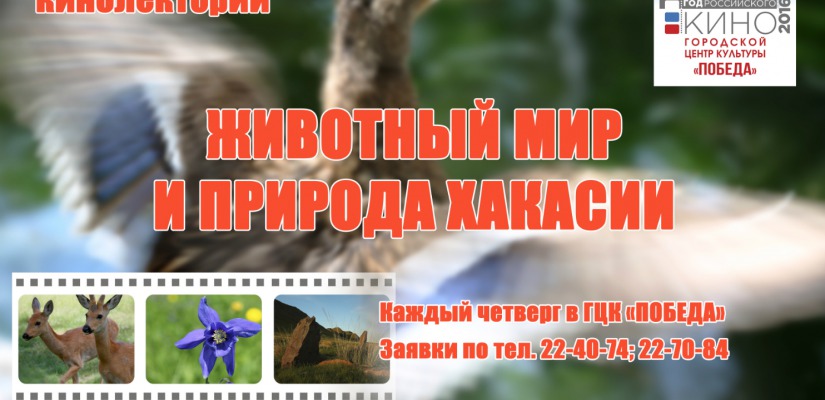 Городской центр культуры «Победа» приглашает на кинолекторий «Животный мир и природа Хакасии»