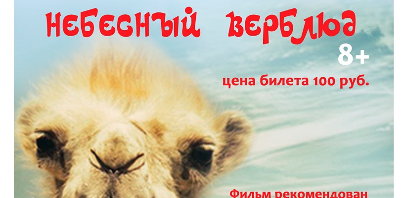 Кино для всей семьи – городской центр культуры «Победа» приглашает на премьеру