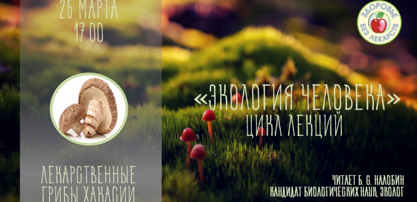 В Главной библиотеке Хакасии расскажут, как собрать грибную аптечку