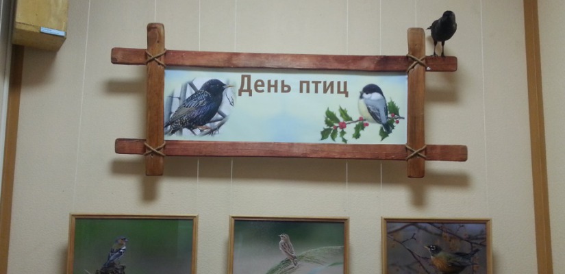 Главный музей Хакасии открывает выставку, посвящённую Международному дню птиц