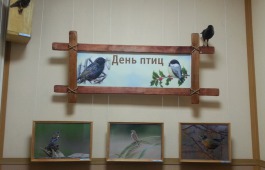 Главный музей Хакасии открывает выставку, посвящённую Международному дню птиц