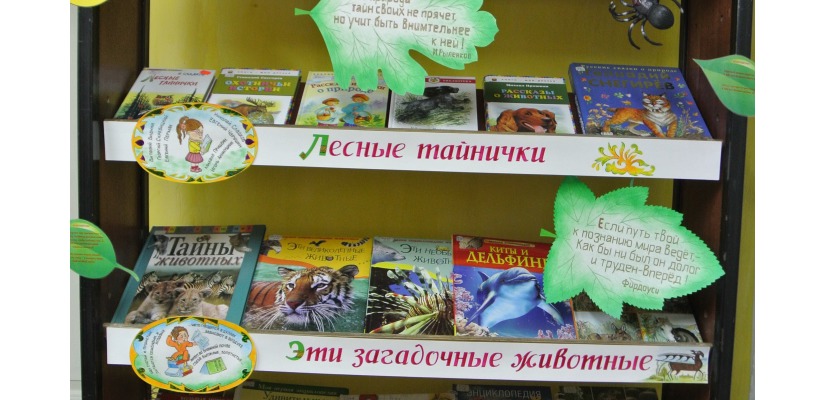 В Хакасской республиканской детской библиотеке открывается выставка-удивление «Я с книгой открываю мир»