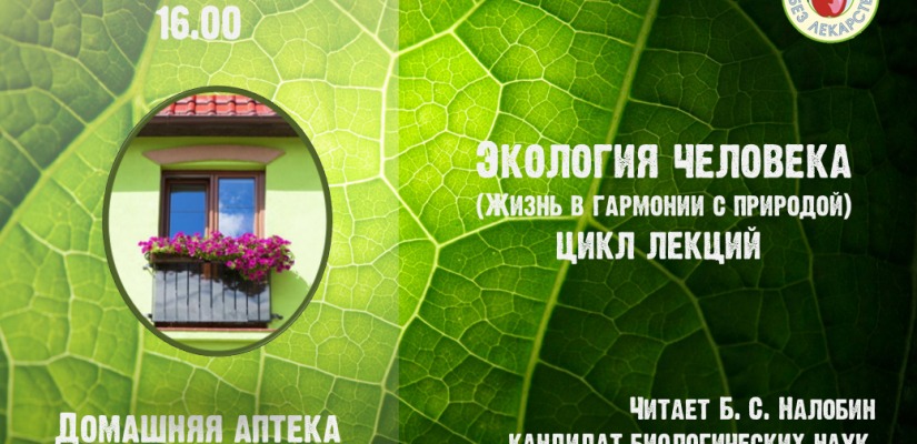 Жителям столицы Хакасии расскажут о домашней «зеленой аптеке»