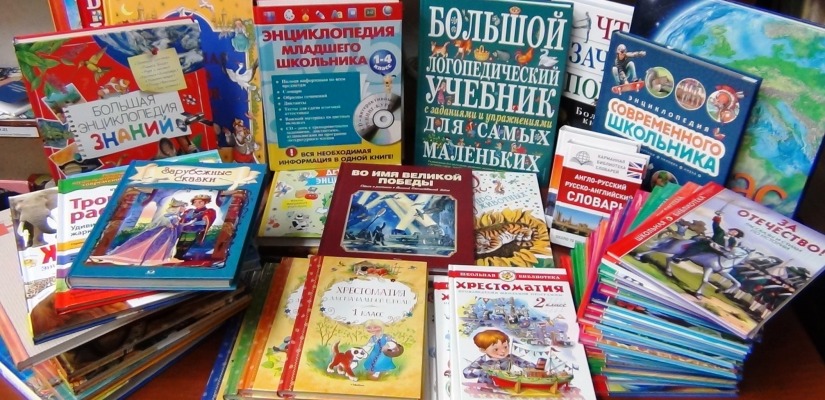 Доможаковская модельная библиотека получила в подарок книги от «Единой России»