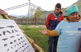 В Абазе состоялся марафон «360 минут»