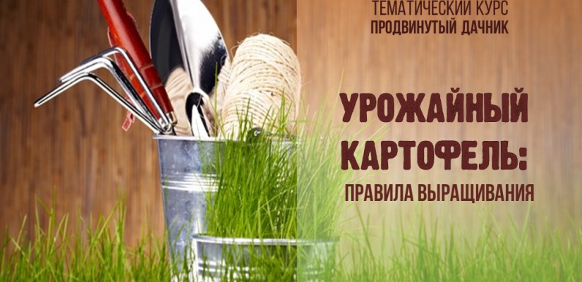 Главная библиотека республики приглашает дачников на занятие «Урожайный картофель: правила выращивания»