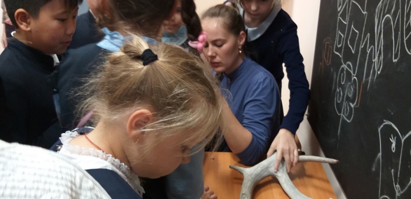 Школьникам рассказали о животных Хакасии