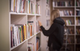 Книжная выставка «Сестры вереска: сестры Бронте и английская литература»