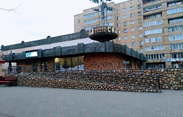 Московский критик посетила театр кукол «Сказка»